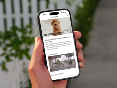 Fitur AI Ring Mencari Anjing Hilang Aktif Default, Pengguna Perlu Persetujuan