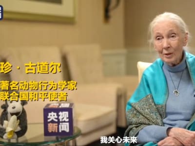 Jane Goodall: Legenda Konservasi yang Terinspirasi Generasi Muda di China