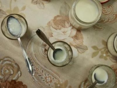 Tradisi Yogurt Semut Merah Hidupkan Kembali Fermentasi Alami yang Unik