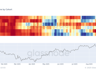 Bitcoin Naik 10% Saat Pemegang Dompet Beralih ke Akumulasi