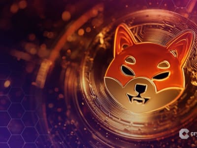 Shibarium Bangkit Lagi Usai Peretasan Rp 65.78 miliar ($4 Juta) , Janji Ganti Rugi Pengguna