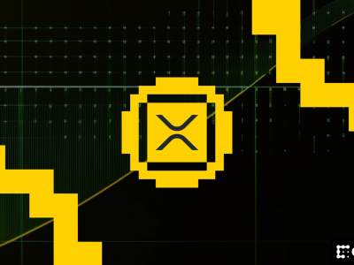 Ripple Dorong XRPL Jadi Pilihan Institusi dengan Privasi dan Kepatuhan Blockchain