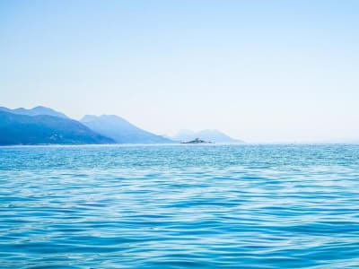 Meta Bangun Kabel Laut Baru Candle untuk Perkuat Konektivitas Asia Pasifik