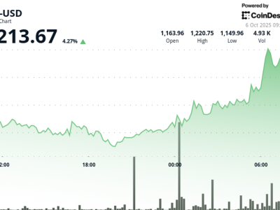 BNB Meroket Lewati Rp 19.73 ribu ($1.200) Didukung Lonjakan Aktivitas dan Minat Institusional