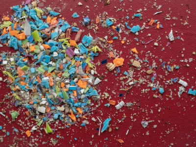 Dampak Mikroplastik pada Mikrobioma Usus dan Risiko Penyakit Serius Manusia