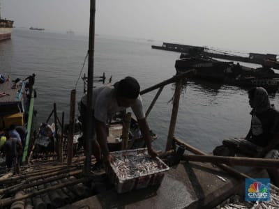 BMKG Prediksi La Nina dan Musim Hujan Lebih Panjang di Indonesia 2025/2026