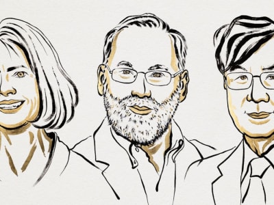 Penemuan Sel T-reguler: Kunci Sistem Imun yang Mencegah Penyakit Autoimun