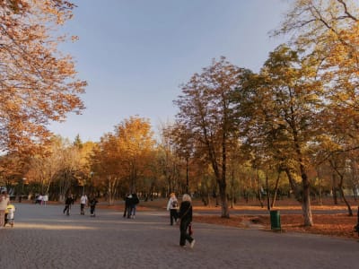 Keajaiban Uptober: Kenaikan Kripto Didukung Permintaan Spot Bukan Leverage