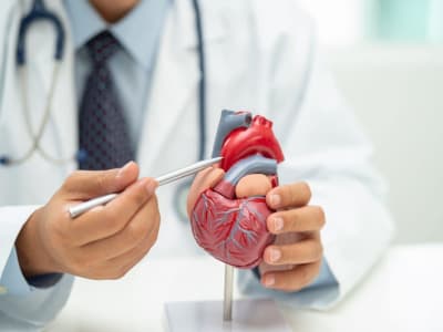 NanoPhoria Raih Pendanaan €83,5 Juta untuk Obat Gagal Jantung Inovatif