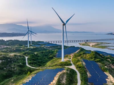 Energi Terbarukan Terus Tumbuh, Lewati Batu Bara untuk Pertama Kali