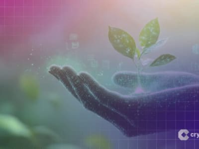 Meanwhile Kumpulkan Rp 1.35 triliun ($82 Juta)  untuk Asuransi Jiwa dan Tabungan Berbasis Bitcoin