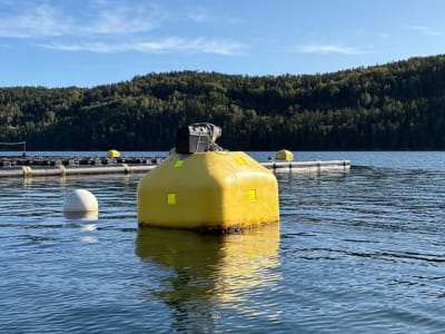 Tension Buoy: Solusi Cerdas Stabilkan Panel Surya Terapung di Waduk