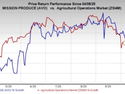 Strategi Mission Produce Menghadapi Oversupply Alpukat dengan Diversifikasi dan Ekspansi Global
