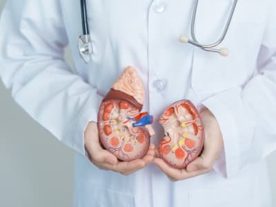 Ilmuwan Ubah Golongan Darah Ginjal Donor Jadi Tipe O, Mempercepat Transplantasi