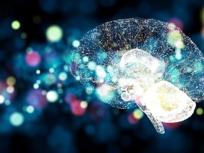 Apakah Saham Palantir Bisa Terus Tumbuh di Lima Tahun Mendatang?