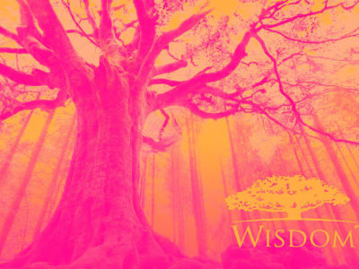 Apakah Saham WisdomTree Masih Layak Dibeli Setelah Melambung 74%?