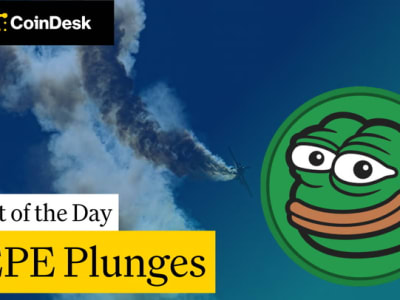 Penurunan 7% PEPE Coin: Apa yang Terjadi di Dunia Memecoin?