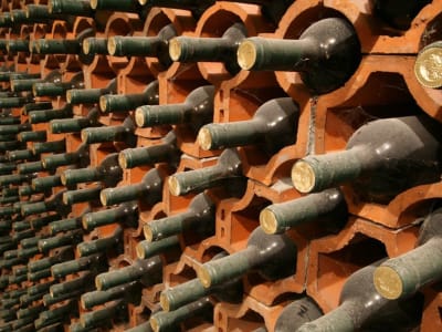 CruTrade Luncurkan Pasar Anggur Mewah Digital Terbesar dengan Blockchain Avalanche