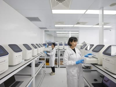 Tes Darah Non-Invasif Pertama Deteksi Dini Kanker Gastrik Diluncurkan di China