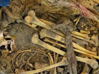 Penemuan Mikrobioma Usus 1.000 Tahun Lalu dalam Mumi Meksiko Ungkap Diet Kuno