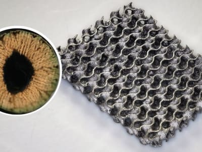 Metode Cetak 3D Baru dari EPFL Hasilkan Logam Kuat dengan Biaya Rendah