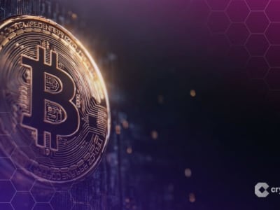 Senator Lummis Usulkan Pajak Bebas untuk Transaksi Bitcoin Kecil di AS