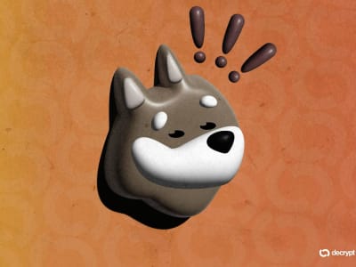 Safety Shot Resmi Jadi Bonk, Inc., Fokus Kembangkan Meme Coin Solana