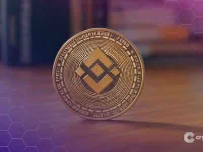 Runtuhnya Rally Memecoin BNB Chain Setelah Klarifikasi CZ Tolak Dukungan