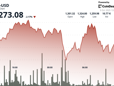 Penurunan Harga BNB dan Rekor Aktivitas Jaringan BNB Chain Jadi Sorotan
