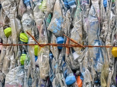 Botol Plastik Sekali Pakai Bisa Jadi Penyimpan Energi Ramah Lingkungan