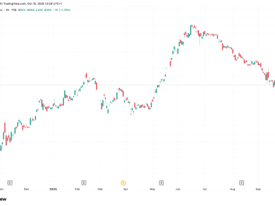 Metaplanet Tangguhkan Hak Akuisisi Saham Untuk Lindungi Nilai Investor