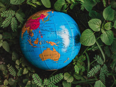 Misteri Garis Wallace: Mengapa Spesies Indonesia dan Australia Berbeda Signifikan