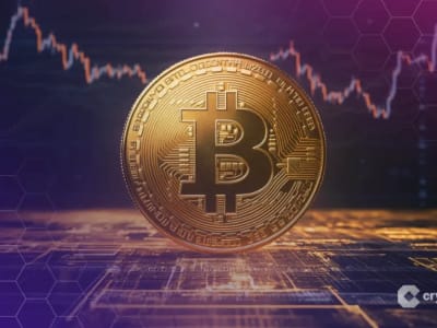 Whale Bitcoin Raup Ratusan Juta Usai Short Besar Sebelum Tarif Trump