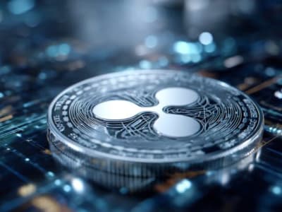 XRP Jatuh dan Pulih Drastis, Whales Kembali Beli Setelah Penurunan Besar