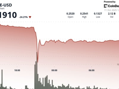Crash Kilat Dogecoin 50%: Penyebab, Dampak, dan Peluang Pulihnya Harga