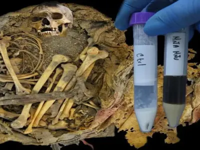 Penemuan Mayat 1.000 Tahun Ungkap Rahasia Mikroba Usus Manusia Kuno