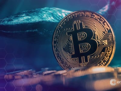Trader Crypto Raksasa Short Bitcoin Rp 2,3 Triliun Setelah Untung Rp 2,7 Triliun