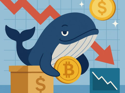 Whale Crypto Kembali Short Rp 2.68 triliun ($163 Juta)  Usai Raup Untung Rp 3.16 triliun ($192 Juta) 