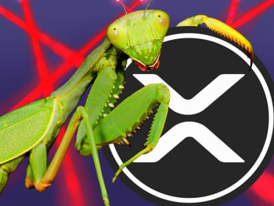 Ripple Tawarkan 200.000 Dollar untuk Temukan Bug di Protokol Pinjaman XRP Ledger