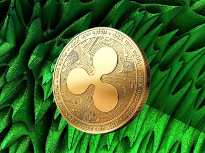 XRP Melesat +65% Usai Attackathon XRPL, Siap Pulih dan Naik Lagi