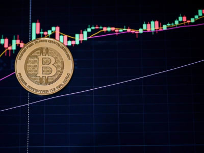 Misteri Trader Untung Ratusan Juta saat Crash Bitcoin dan Ether Terkuak