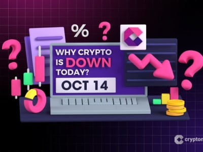 Kenapa Pasar Kripto Turun Hari Ini? Dampak Tarif AS-China dan Strategi Fed