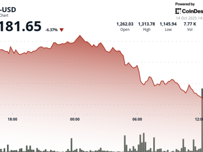 BNB Anjlok 6,5% Pasca Pasar Kripto Ambruk, Upaya Stabilisasi Dimulai