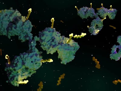 Tubulis Raih Dana Besar untuk Terapi Kanker Inovatif Antibody-Drug Conjugate