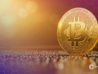 Perusahaan Publik di Dunia Ramai-Ramai Memegang Bitcoin, Apa Rahasianya?