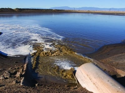 FCOP: Inovasi Ampuh Menyaring Obat Beta-Blocker dari Air Limbah