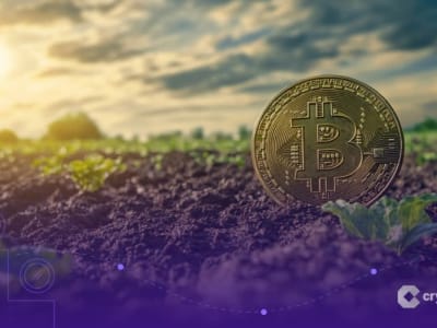 Dampak Kebijakan Washington Picu Sell-off Besar di Pasar Crypto