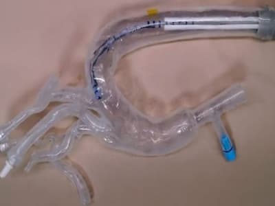 Robot Lunak Berbentuk Tanaman Merambat, Solusi Canggih untuk Ruang Sempit