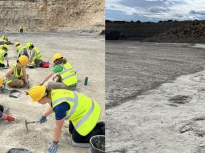 Jejak Dinosaurus Terpanjang di Eropa Terungkap di Oxfordshire