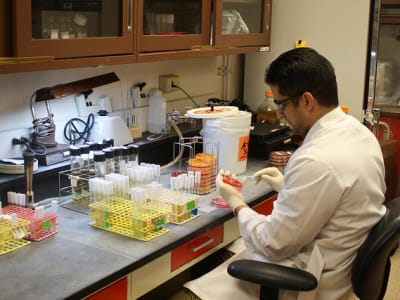 Recursion Pharmaceuticals Naik Pesat Berkat AI di Konferensi Dubai